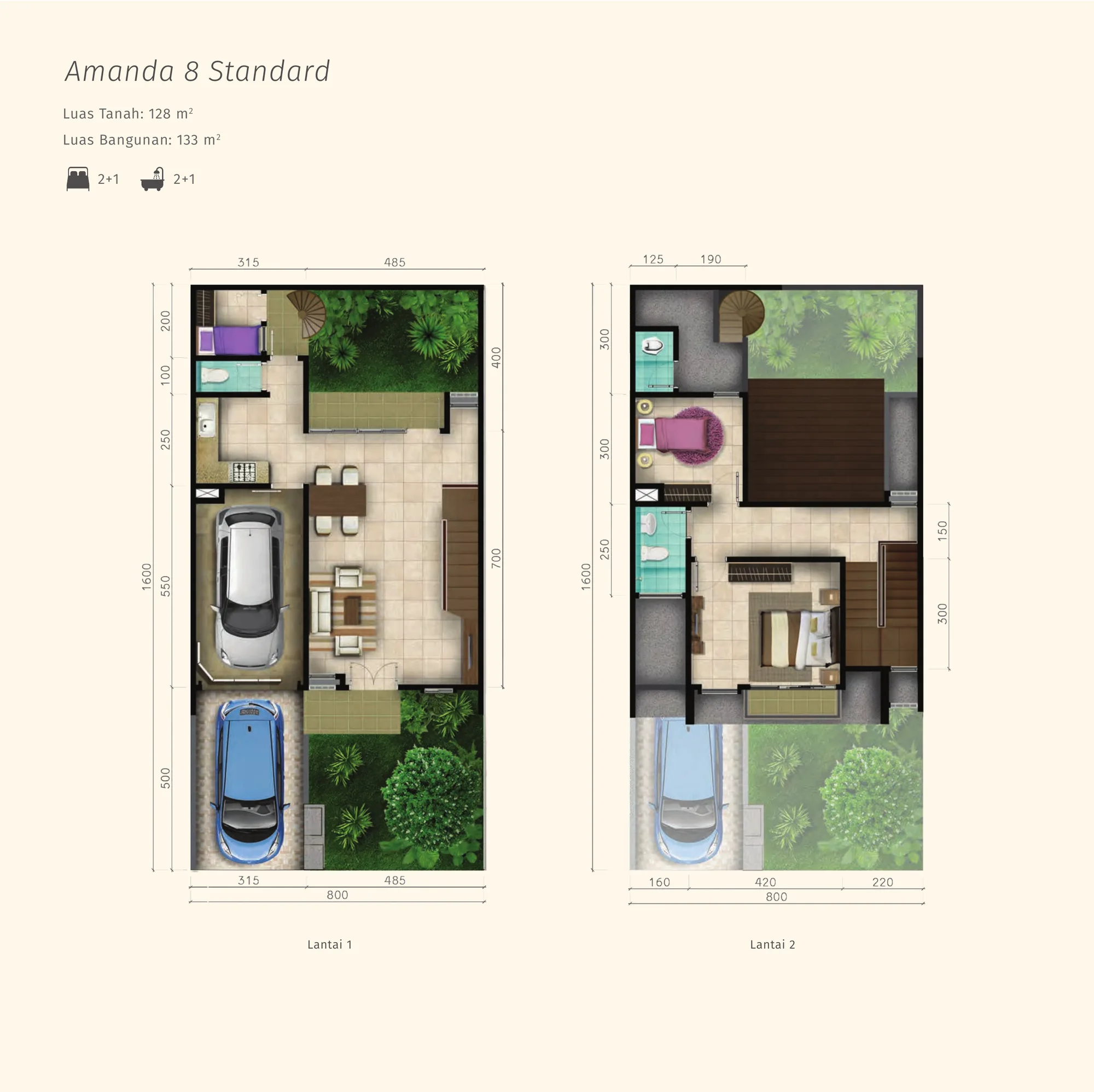 Amanda 8 Standard — Floorplan